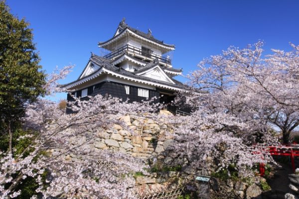 徳川家康の浜松城